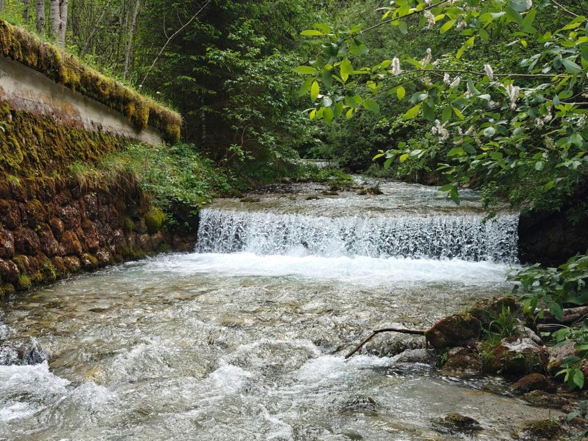 Idyllic Mountain Huette -Gesaeuse Nationalpark Βίλα Landl  Εξωτερικό φωτογραφία