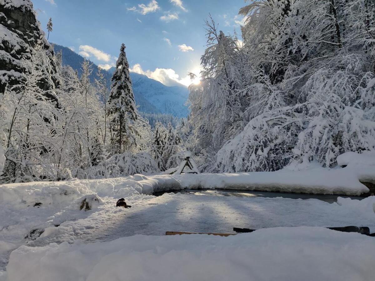 Idyllic Mountain Huette -Gesaeuse Nationalpark Βίλα Landl  Εξωτερικό φωτογραφία